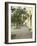 Orange Tree in Courtyard, Cordoba, Andalucia, Spain-Rob Cousins-Framed Photographic Print