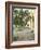 Orange Tree in Courtyard, Cordoba, Andalucia, Spain-Rob Cousins-Framed Photographic Print