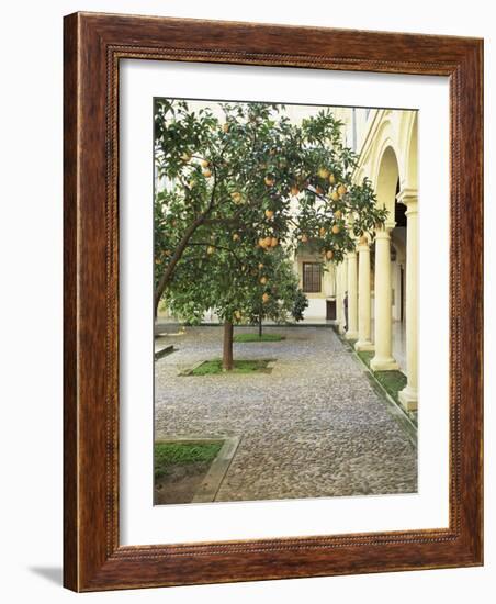 Orange Tree in Courtyard, Cordoba, Andalucia, Spain-Rob Cousins-Framed Photographic Print