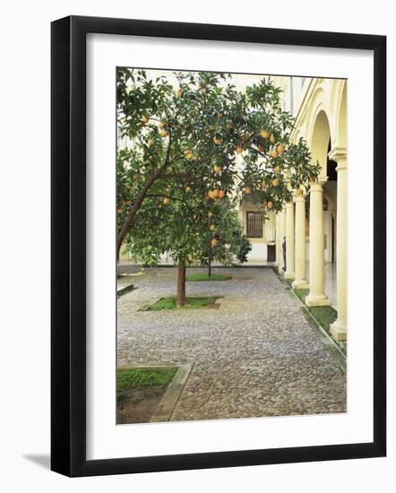 Orange Tree in Courtyard, Cordoba, Andalucia, Spain-Rob Cousins-Framed Photographic Print