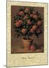 Orange Tree-Joaquin Moragues-Mounted Art Print