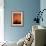 Orange Tree-Doug Chinnery-Framed Photographic Print displayed on a wall