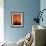 Orange Tree-Doug Chinnery-Framed Photographic Print displayed on a wall