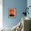 Orange Tree-Doug Chinnery-Framed Photographic Print displayed on a wall