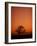 Orange Tree-Doug Chinnery-Framed Photographic Print