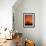 Orange Tree-Doug Chinnery-Framed Photographic Print displayed on a wall