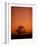 Orange Tree-Doug Chinnery-Framed Photographic Print