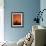 Orange Tree-Doug Chinnery-Framed Photographic Print displayed on a wall