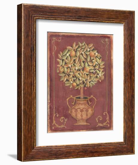 Orange Tree-Tina Chaden-Framed Art Print