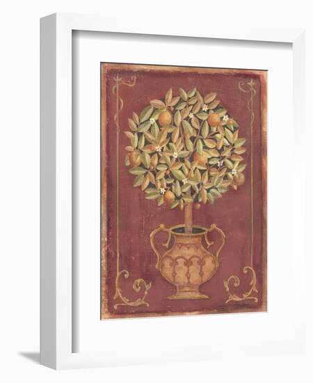 Orange Tree-Tina Chaden-Framed Art Print