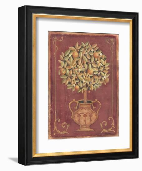 Orange Tree-Tina Chaden-Framed Art Print