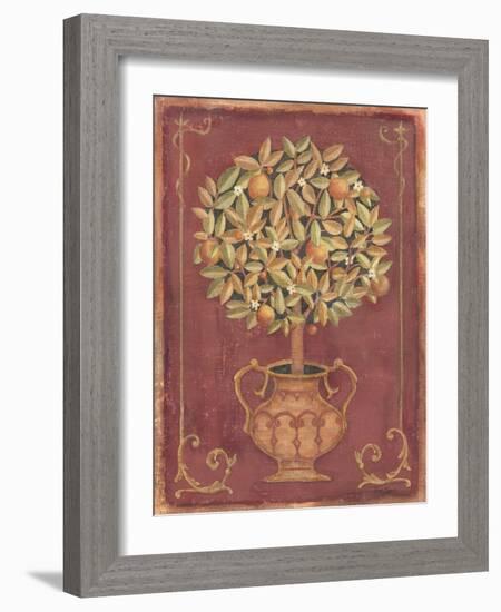 Orange Tree-Tina Chaden-Framed Art Print