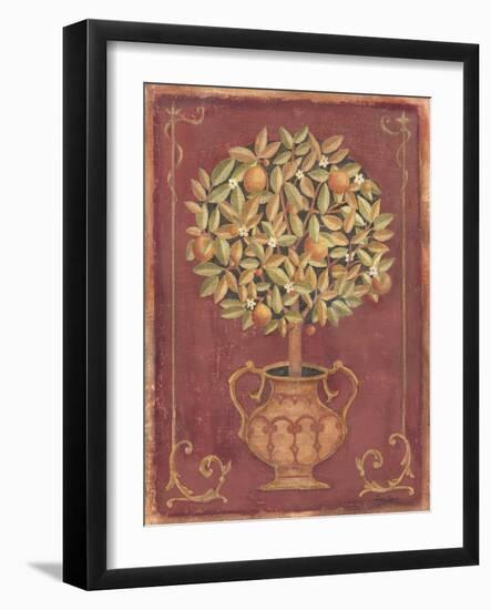 Orange Tree-Tina Chaden-Framed Art Print