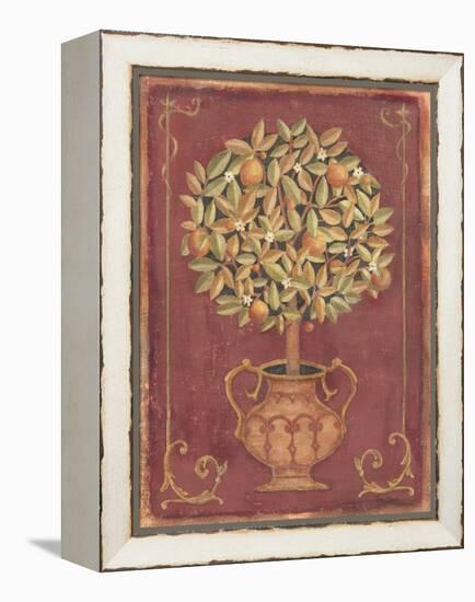 Orange Tree-Tina Chaden-Framed Stretched Canvas