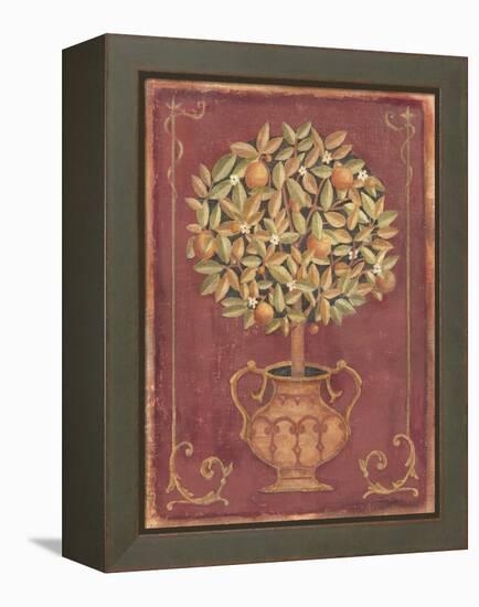 Orange Tree-Tina Chaden-Framed Stretched Canvas