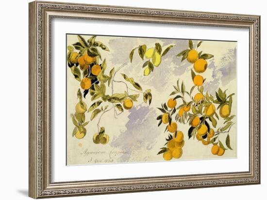 Orange Trees, 1863 (W/C, Pen and Ink over Graphite on Heavy Wove Paper)-Edward Lear-Framed Giclee Print