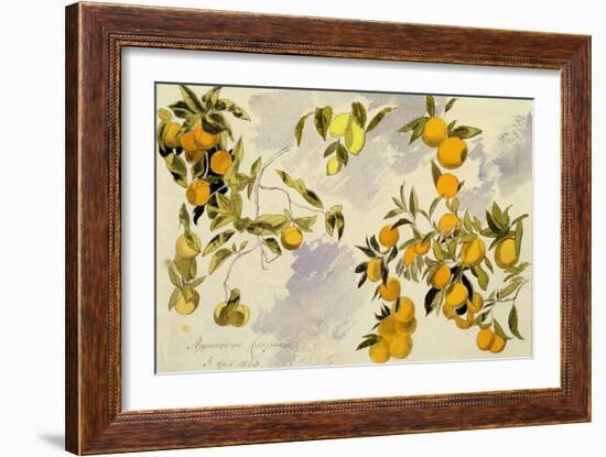 Orange Trees, 1863 (W/C, Pen and Ink over Graphite on Heavy Wove Paper)-Edward Lear-Framed Giclee Print