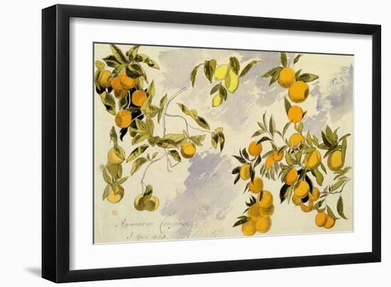 Orange Trees, 1863 (W/C, Pen and Ink over Graphite on Heavy Wove Paper)-Edward Lear-Framed Giclee Print