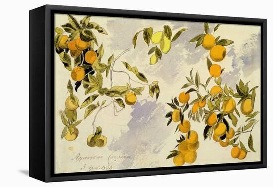 Orange Trees, 1863 (W/C, Pen and Ink over Graphite on Heavy Wove Paper)-Edward Lear-Framed Premier Image Canvas