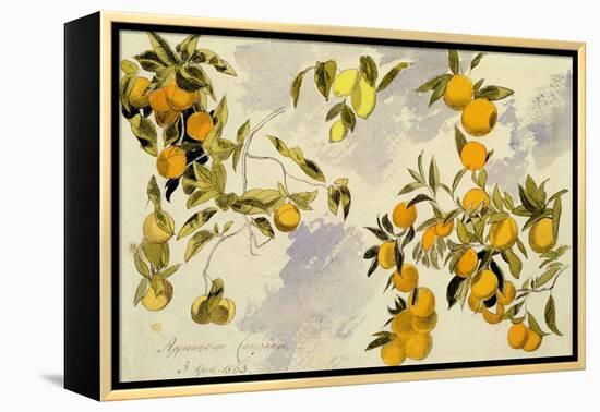 Orange Trees, 1863 (W/C, Pen and Ink over Graphite on Heavy Wove Paper)-Edward Lear-Framed Premier Image Canvas