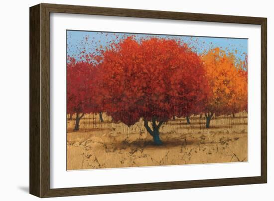 Orange Trees II-James Wiens-Framed Art Print