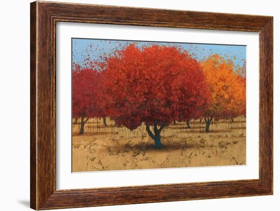 Orange Trees II-James Wiens-Framed Art Print