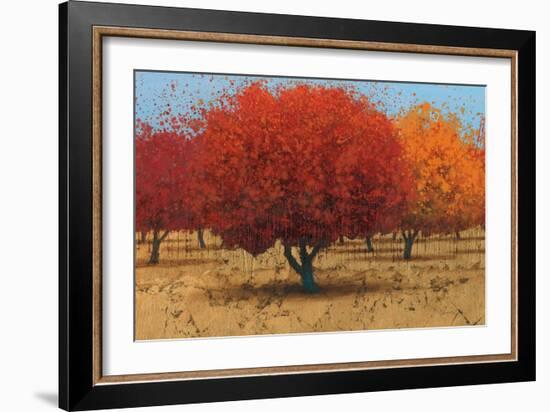 Orange Trees II-James Wiens-Framed Art Print