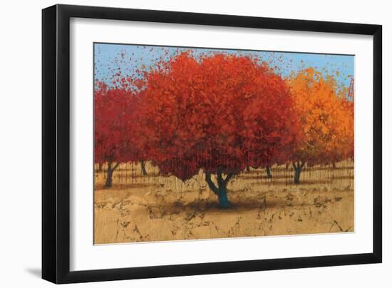 Orange Trees II-James Wiens-Framed Art Print