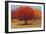 Orange Trees II-James Wiens-Framed Art Print