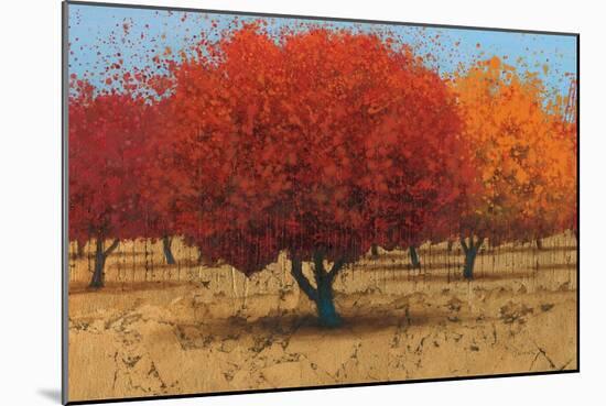 Orange Trees II-James Wiens-Mounted Art Print