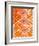 Orange Tribal I-Jodi Fuchs-Framed Premium Giclee Print