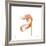 Orange Tulip No 22-Shams Rasheed-Framed Giclee Print