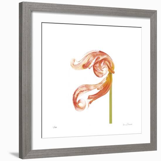 Orange Tulip No 22-Shams Rasheed-Framed Giclee Print