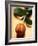 Orange Tulip-Colin Anderson-Framed Photographic Print