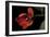 Orange Tulip-Lori Hutchison-Framed Photographic Print