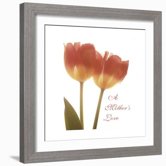 Orange Tulips Quoted-Albert Koetsier-Framed Premium Giclee Print