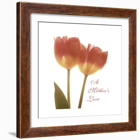 Orange Tulips Quoted-Albert Koetsier-Framed Premium Giclee Print