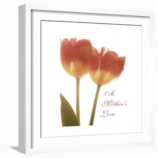 Orange Tulips Quoted-Albert Koetsier-Framed Premium Giclee Print