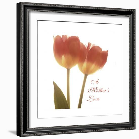 Orange Tulips Quoted-Albert Koetsier-Framed Premium Giclee Print