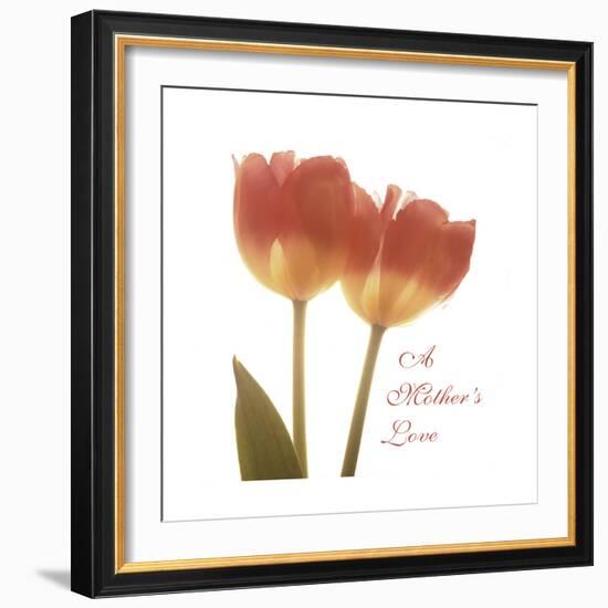 Orange Tulips Quoted-Albert Koetsier-Framed Premium Giclee Print