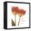 Orange Tulips Quoted-Albert Koetsier-Framed Stretched Canvas