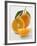 Orange with Stalk and Leaf, Orange Half and Wedge-null-Framed Photographic Print