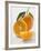 Orange with Stalk and Leaf, Orange Half and Wedge-null-Framed Photographic Print