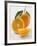 Orange with Stalk and Leaf, Orange Half and Wedge-null-Framed Photographic Print