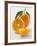 Orange with Stalk and Leaf, Orange Half and Wedge-null-Framed Photographic Print