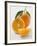 Orange with Stalk and Leaf, Orange Half and Wedge-null-Framed Photographic Print