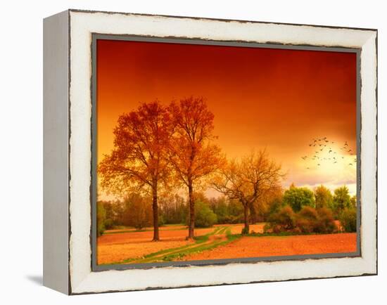 Orange World-Philippe Sainte-Laudy-Framed Premier Image Canvas