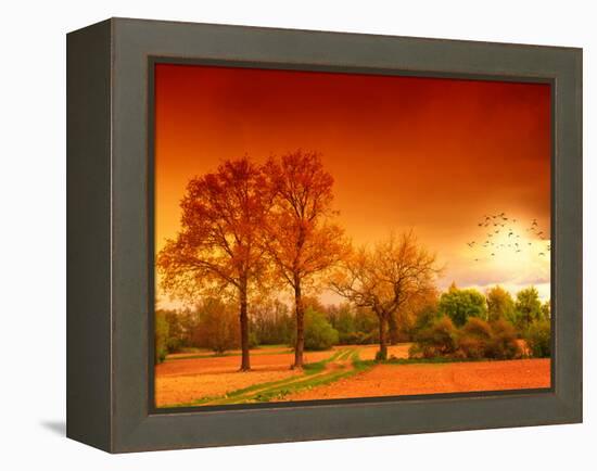 Orange World-Philippe Sainte-Laudy-Framed Premier Image Canvas