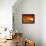 Orange World-Philippe Sainte-Laudy-Framed Premier Image Canvas displayed on a wall