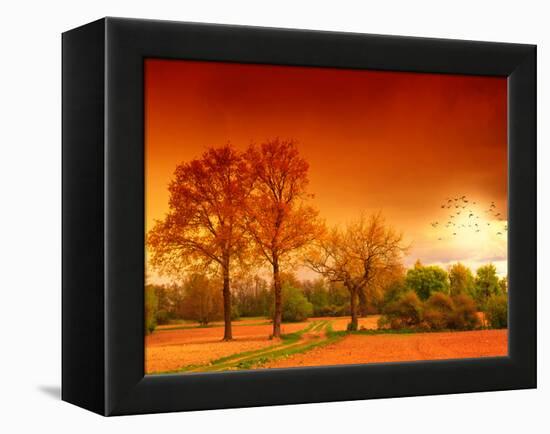 Orange World-Philippe Sainte-Laudy-Framed Premier Image Canvas